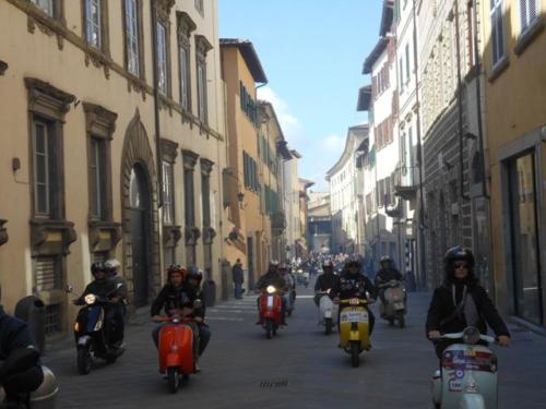 Arezzo (30)